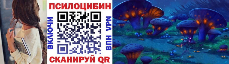 Галлюциногенные грибы Psilocybe  купить   Северская 